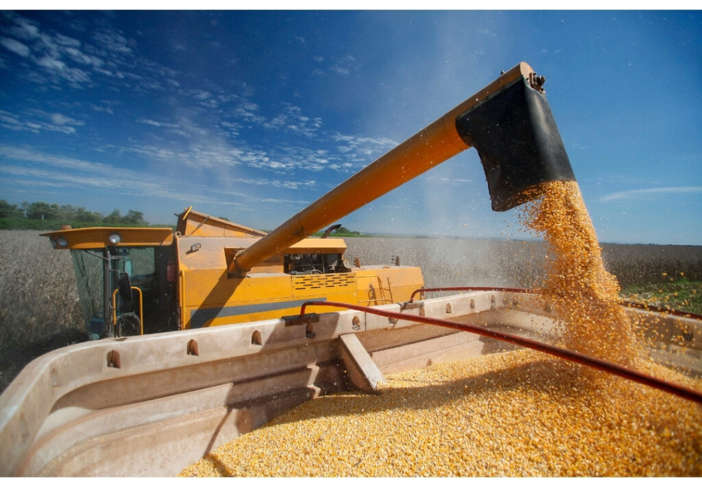 Necesario fortalecer programas de apoyo al campo