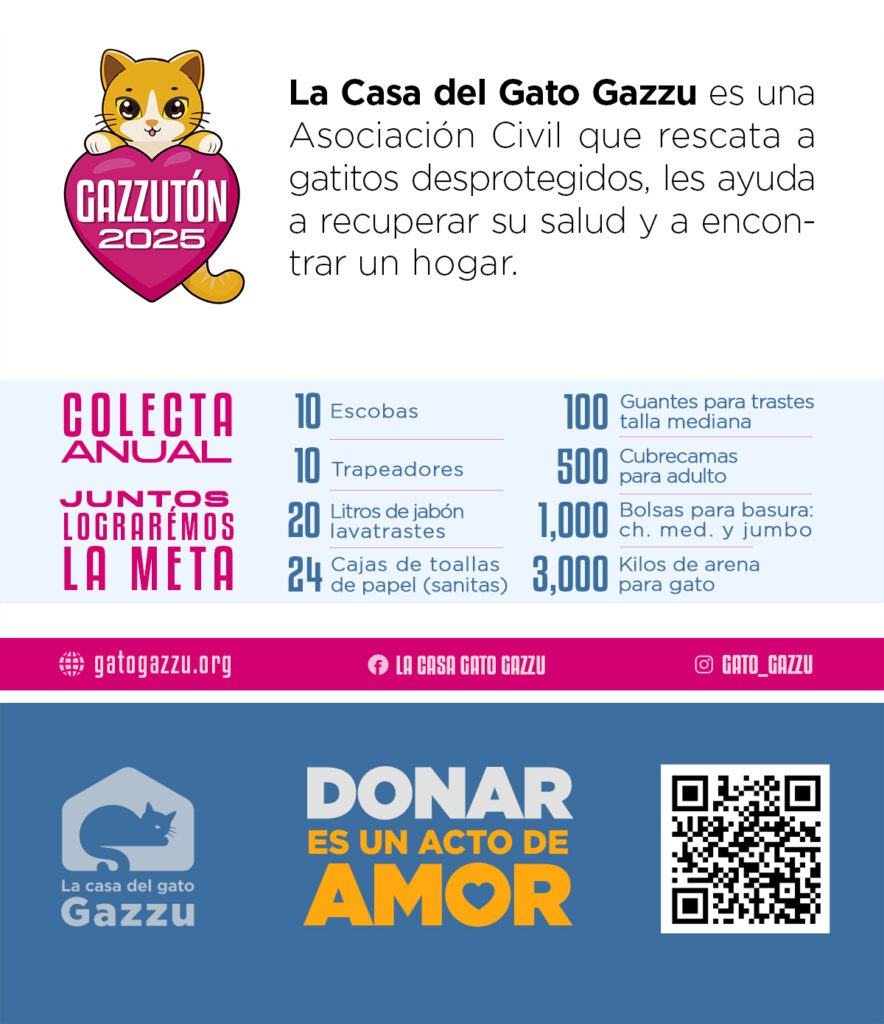 Catfecito: un espacio para convivir y adoptar gatos 