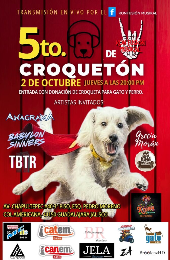5to Croquetón de Kon-Fusión Musikal: perritos y gatitos