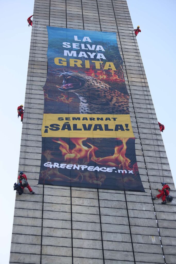 Exigen a Semarnat protección integral de la Selva Maya