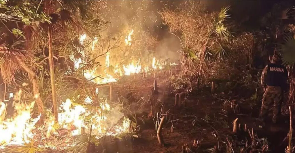 Exigen acciones urgentes por incendio en Holbox
