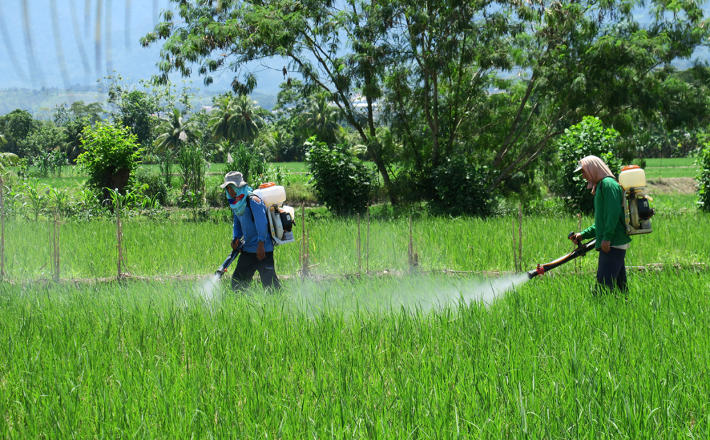 Combatir plaguicidas ilegales: verdadero desafío 
