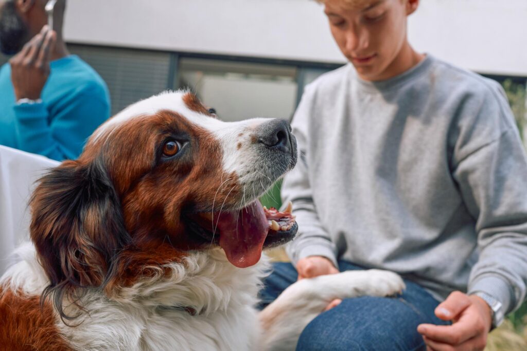 México mantiene la rabia canina bajo control
