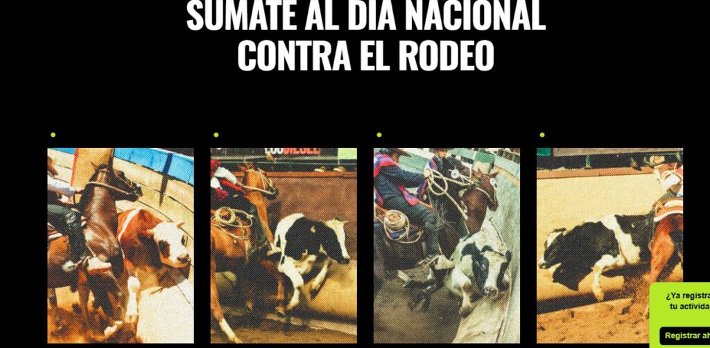 Brindan apoyo al Día Nacional contra el Rodeo