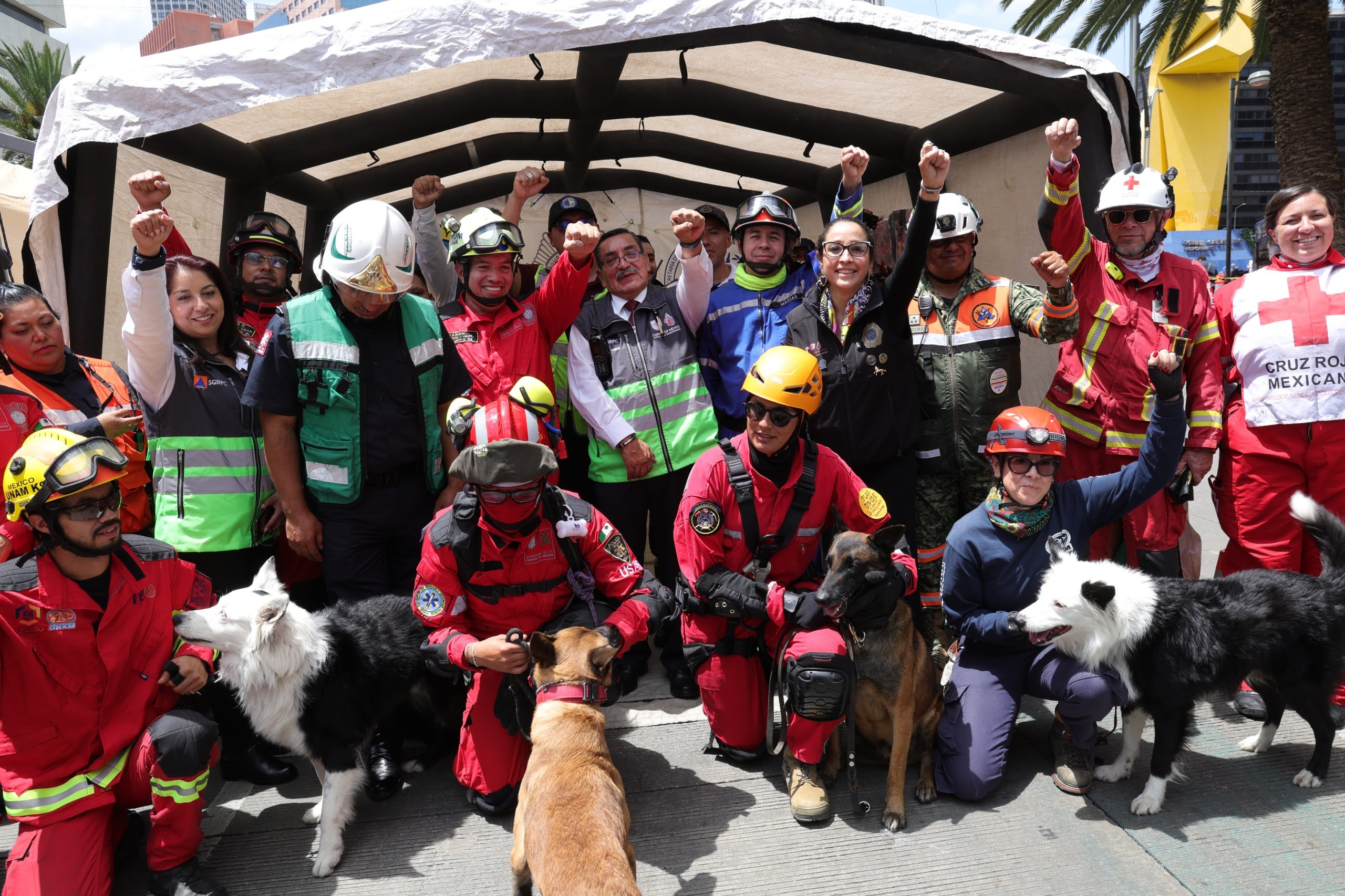 Más de 8.1 millones de personas en el Simulacro Nacional - Prensa Animal
