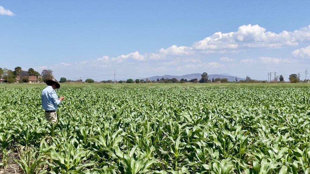 Comparte la UMFFAAC compromiso del gobierno 