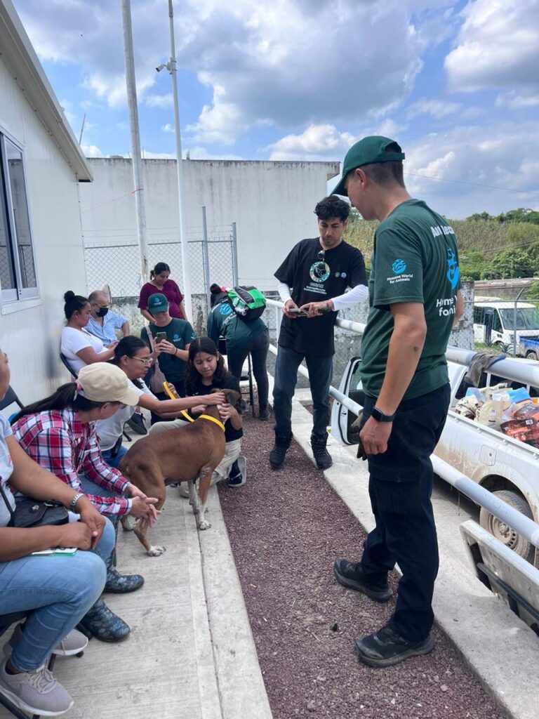 Animales afectados por inundaciones reciben atención