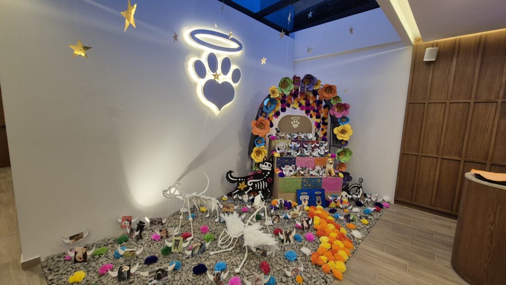 Ofrenda Día de Muertos a los animales que en el cielo