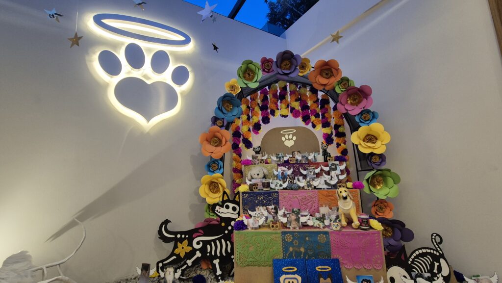 Ofrenda Día de Muertos a los animales que en el cielo