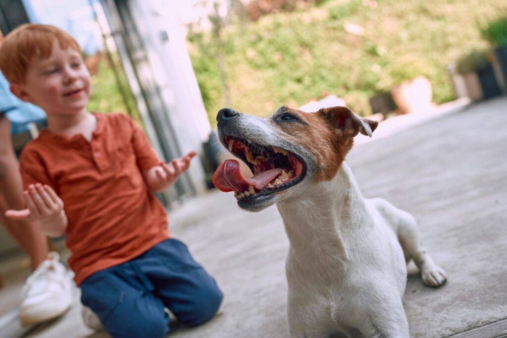 Salud animal- salud humana: prevenir zoonosis en casa