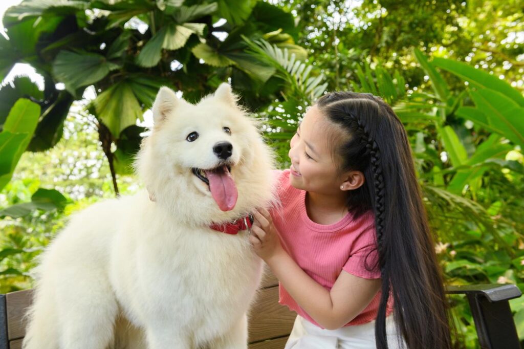 Salud animal- salud humana: prevenir zoonosis