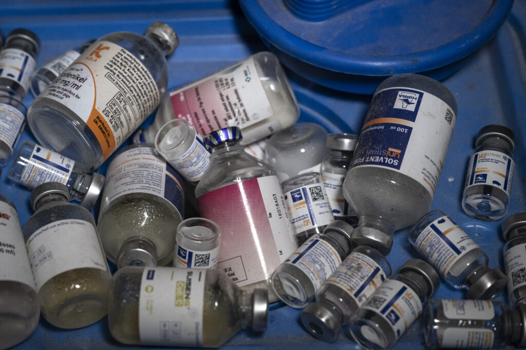 Carne de cerdo del Reino Unido llega contaminada