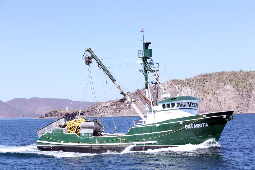 En abril inician periodos de veda y captura en 15 estados