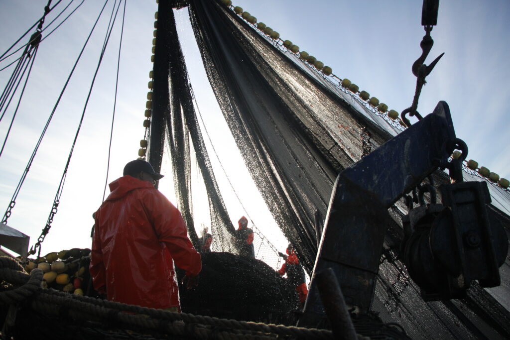 Amplian veda de camarón hasta el 10 de noviembre
