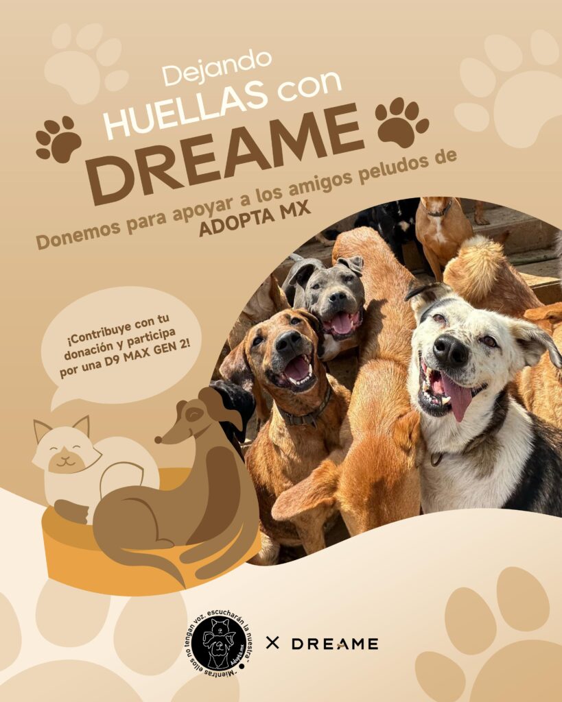 Apoyarán a perritos y gatitos en situación de abandono