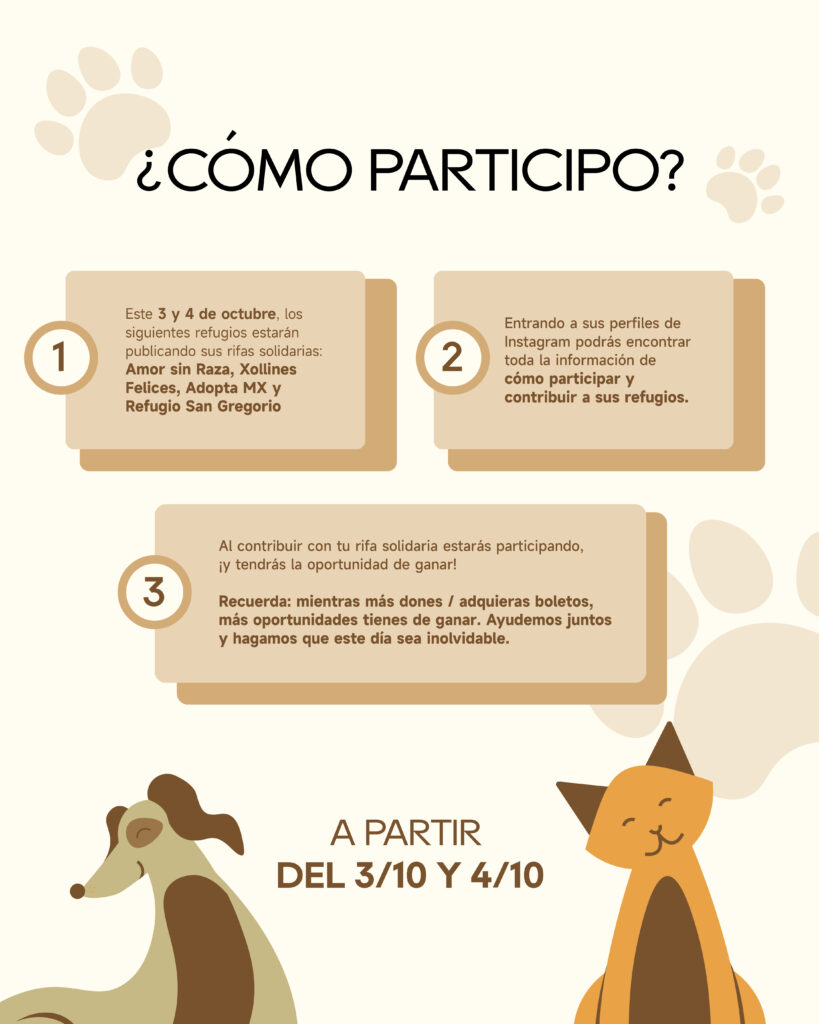 Apoyarán a perritos y gatitos en situación de abandono