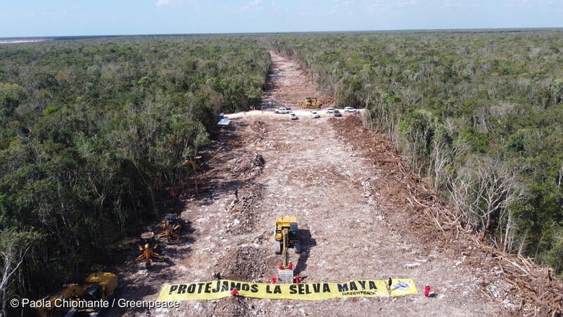 ¿Cómo le va al medio ambiente con Sheinbaum?