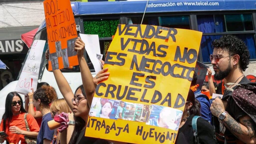 Llaman aplicar la ley en todos los mercados de CDMX