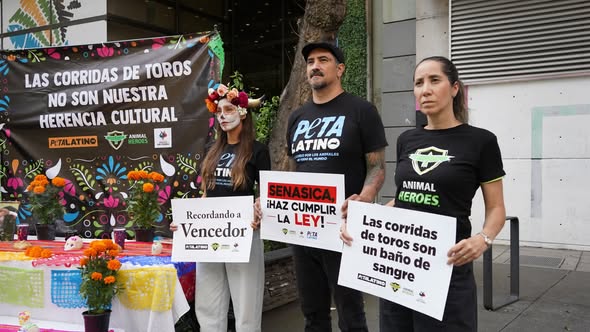 Exigen a SENASICA detener la tortura y muerte de toros