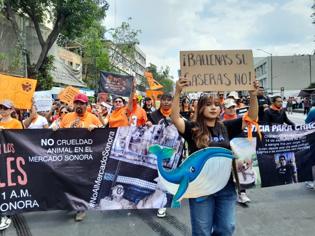 Exigen fin a la venta de animales en Mercado de Sonora