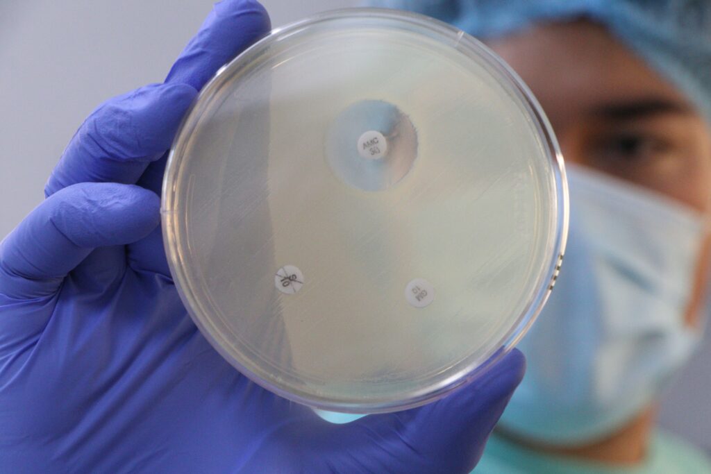 Llaman al uso responsable de medicamentos veterinarios 