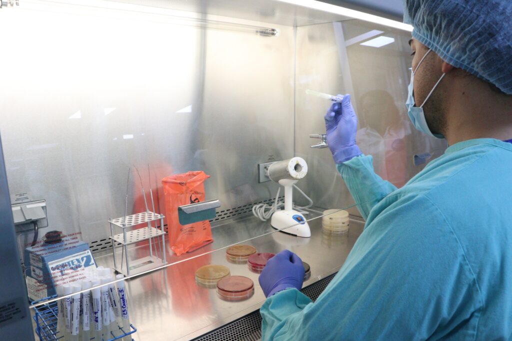 Llaman al uso responsable de medicamentos veterinarios 