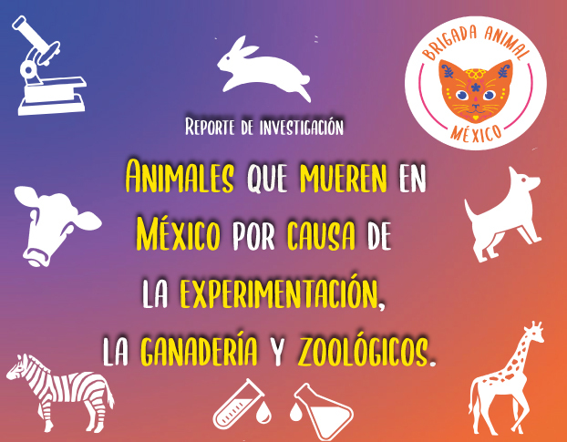 Nueva investigación de Brigada Animal México