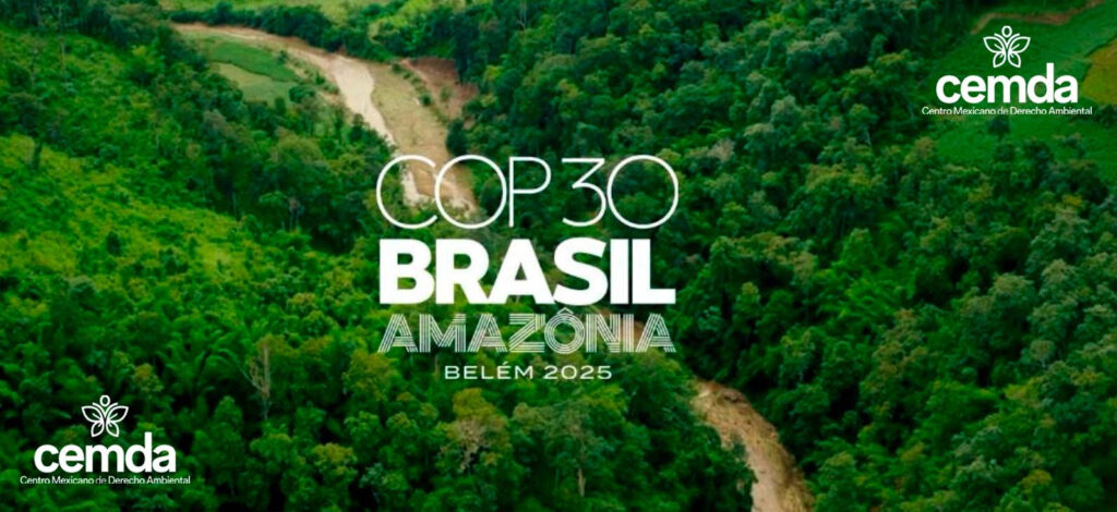 Se esperan metas más ambiciosas en COP30