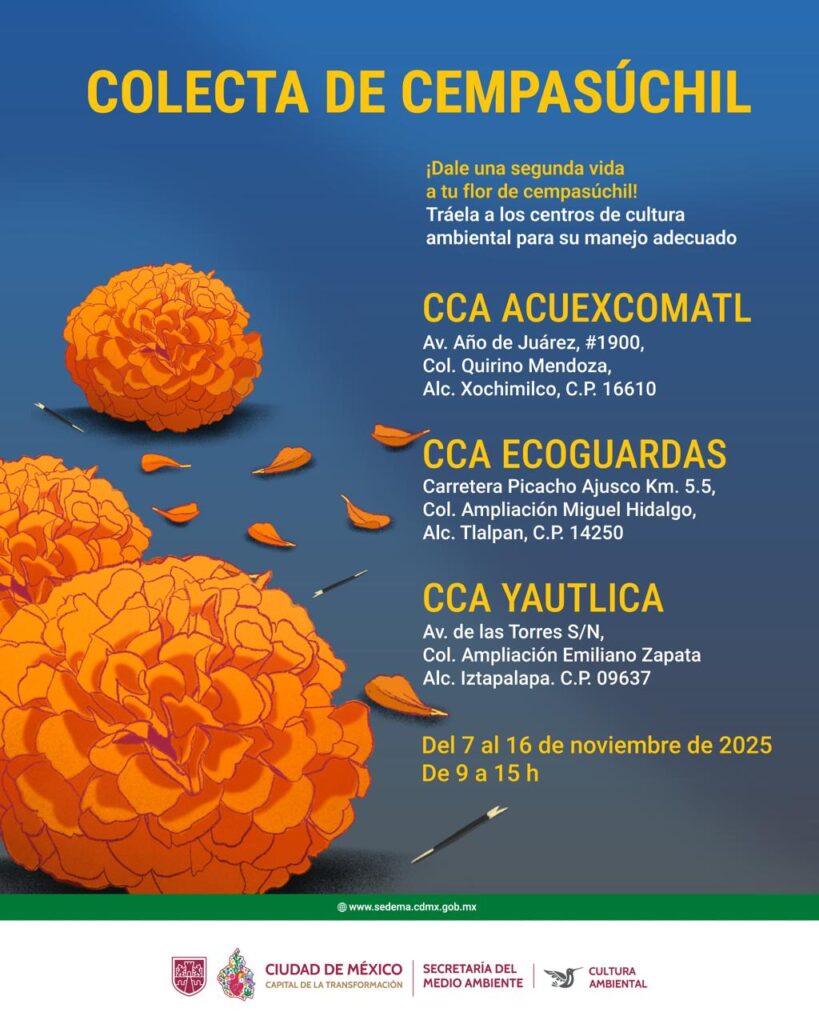 Sedema activa centros de acopio de cempasúchil