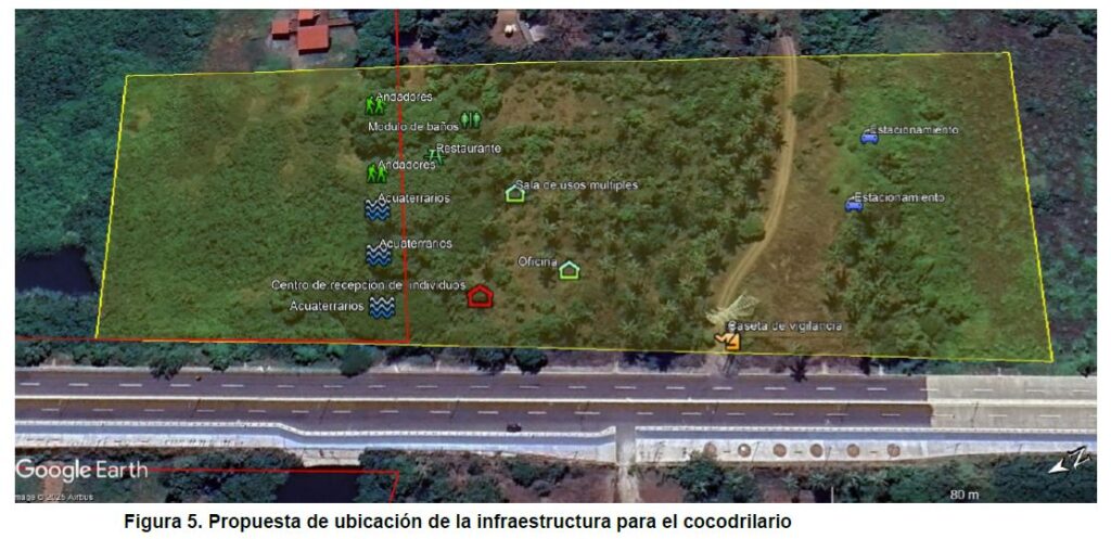 Proyecto para convivir entre humanos y cocodrilos