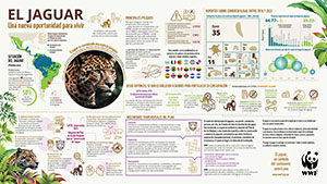 La CoP20 de CITES aprobó conservar el jaguar 