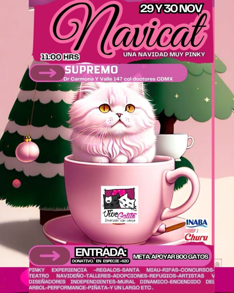 NAVICAT: convierte solidaridad en bienestar felino
