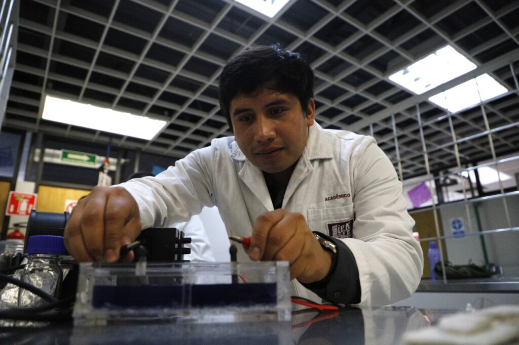 Estudiantes del IPN elaboran electrodos con sargazo 