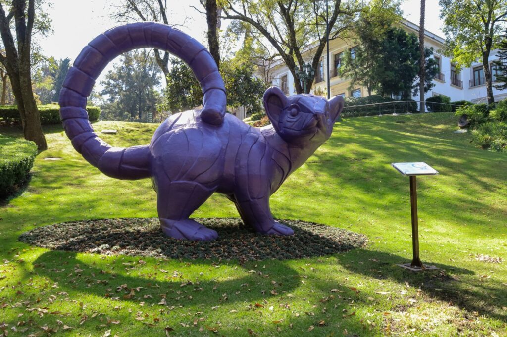 Jardín hondonada: un nuevo espacio en Los Pinos 