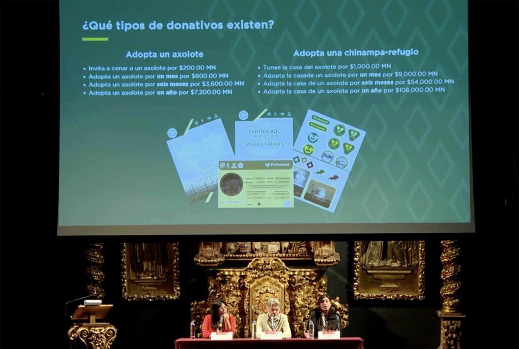 ¡Súmate al rescate de ajolotes y de Xochimilco!