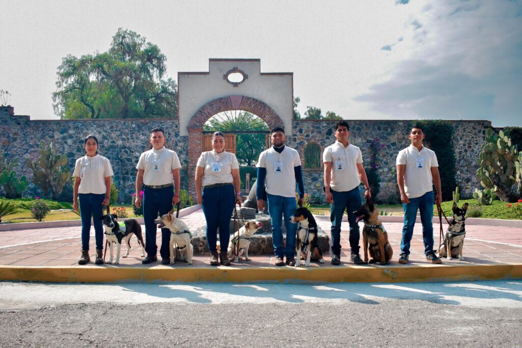 Suman seis binomios caninos contra el gusano barrenador 