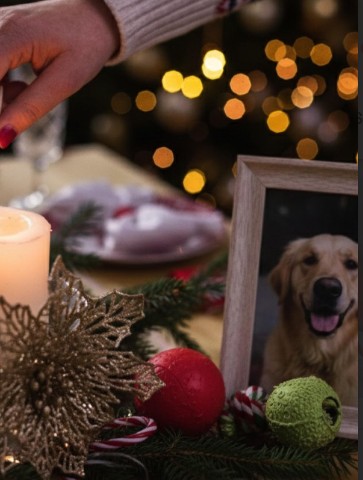 Cómo afrontar estas fiestas sin tu animal de compañía