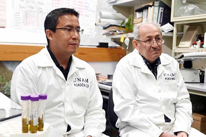 En desarrollo: vacunas  contra cáncer de mama