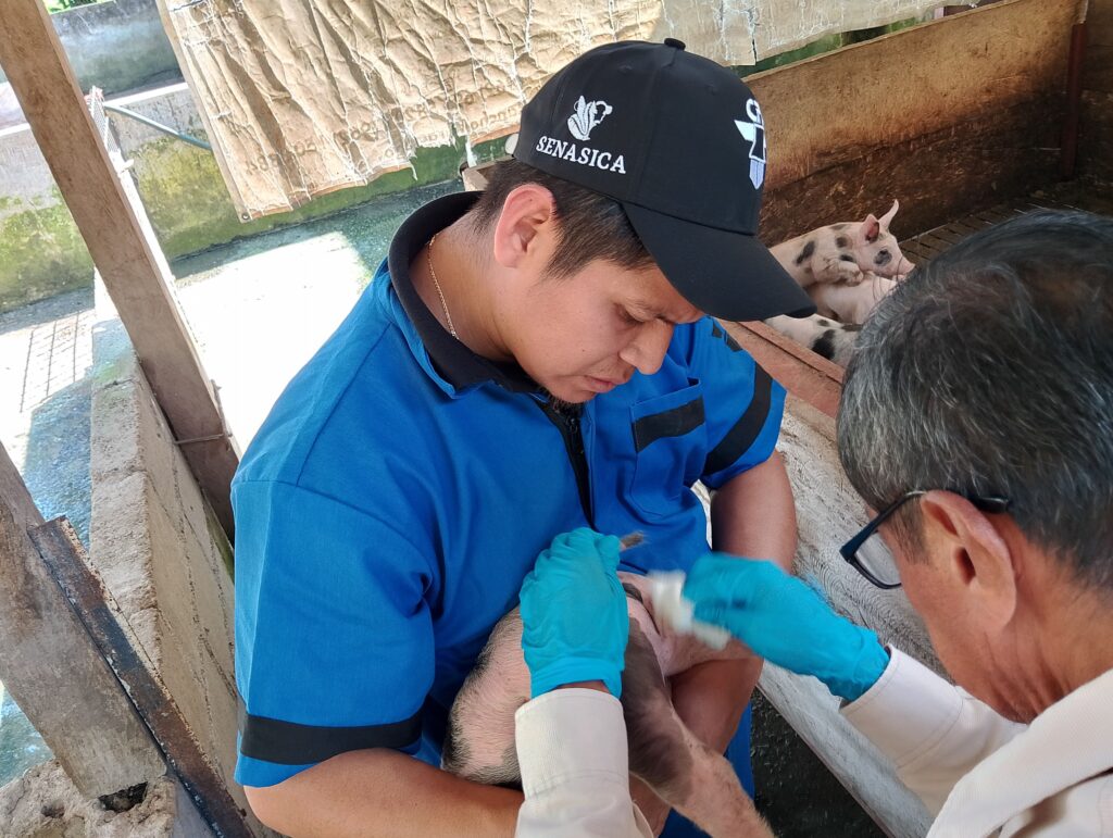 Amplían acciones para controlar movilización de ganado