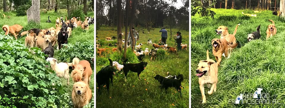 Ordenan desalojo del Refugio Franciscano