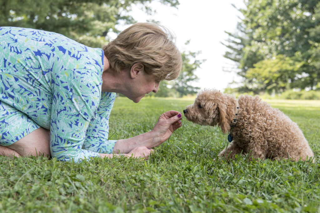 Trato compasivo: nuevo enfoque en bienestar animal