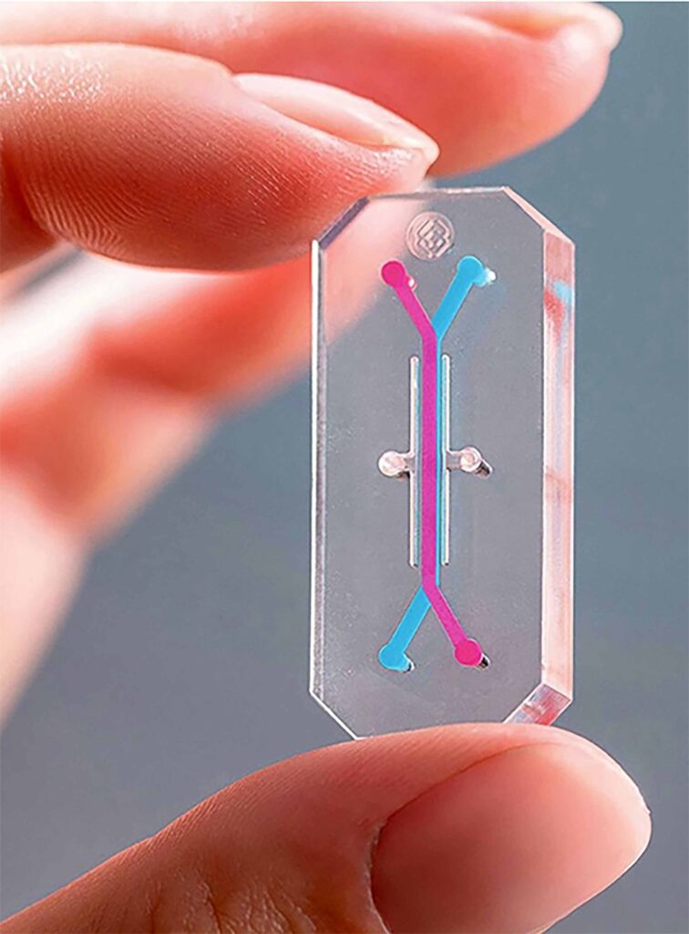 Fabrican chip que replica funciones del hígado 