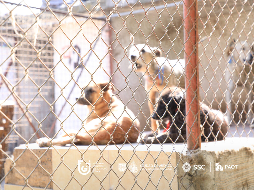 Fiscalía aclara operativo contra Refugio Franciscano