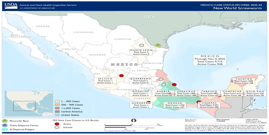La plaga del gusano barrenador cumple un año