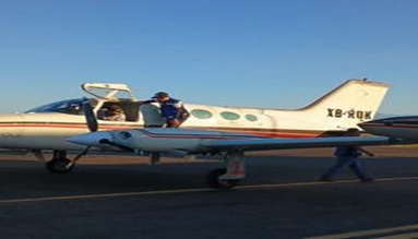 La plaga del gusano barrenador cumple un año