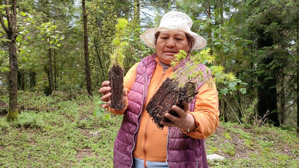 Nación Verde impulsa programa de “empleos verdes”