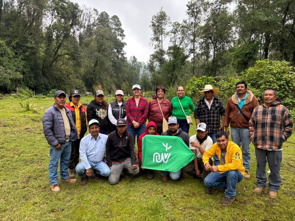 Nación Verde impulsa programa de “empleos verdes”