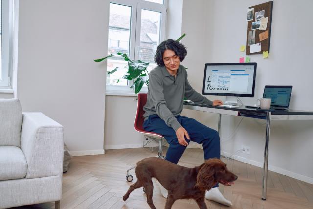 Cuatro enfermedades que  afectan la salud de tu perro 