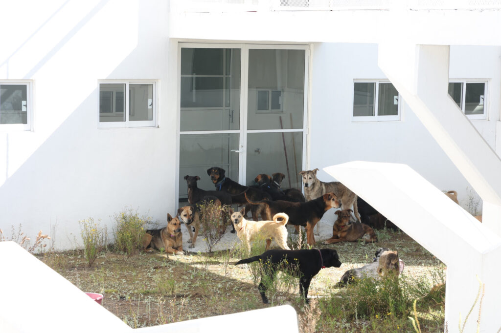 FRECDA denuncia operativo violento a pesar de amparo