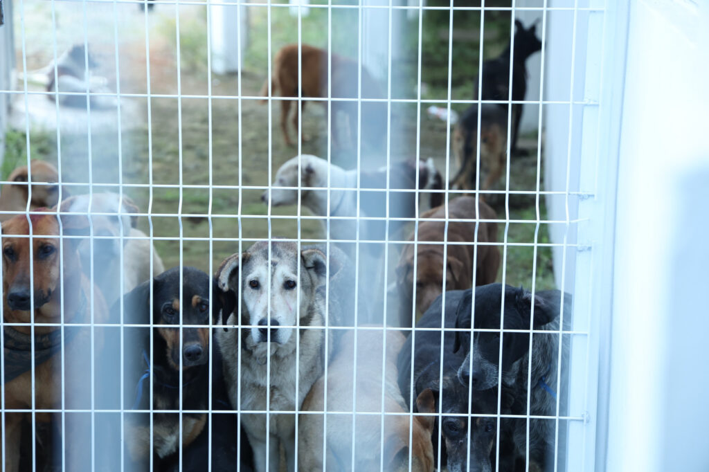 FRECDA denuncia operativo violento a pesar de amparo